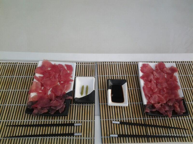 a day offshore fishing quepos costa rica