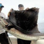 full day offshore fishing quepos costa rica