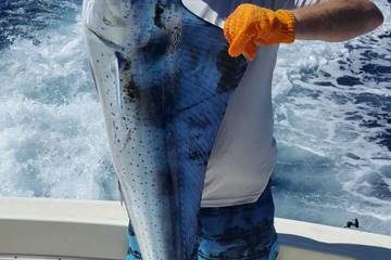 full day offshore fishing