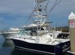 sea hawk sport fishing quepos costa rica