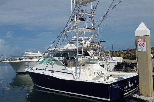 sea hawk sport fishing quepos costa rica