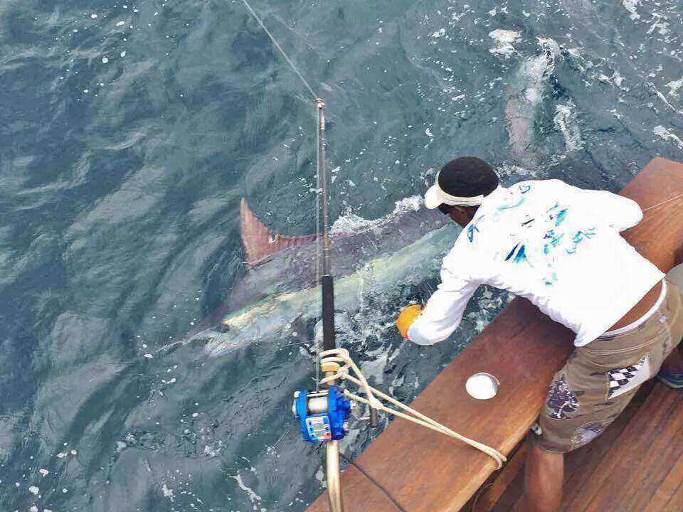 manuel antonio offshore fishing charters quepos costa rica full day and 3/4 day