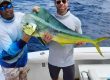 manuel antonio offshore fishing charters quepos costa rica full day and 3/4 day