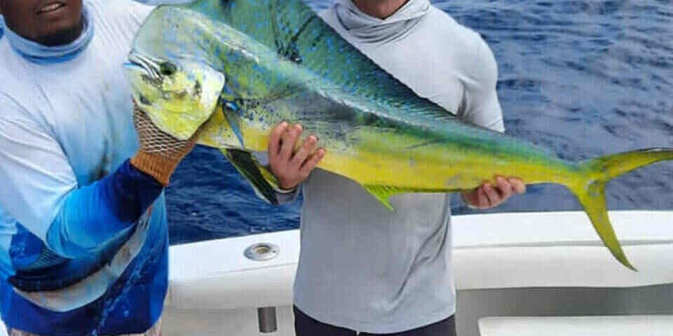 manuel antonio offshore fishing charters quepos costa rica full day and 3/4 day